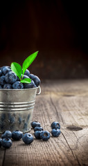 Blueberries in tin can close up arrangement with fresh green leaves with copy space on old rustic wooden table and dark background front view studio shot