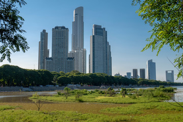 Fototapeta premium Vista del barrio porteño de Puerto Madero visto desde la Reserva ecológica de buenos Aires, sobre el Río de la Plata, Argentina