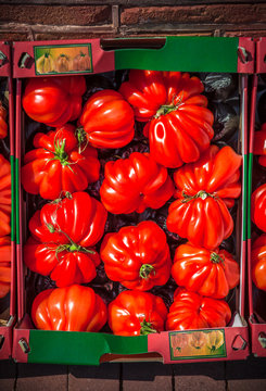 Fresh Tomatoes Overhead Outdoor Vibrant Color Arrangement In Market In Cardboard Box In Font Of A Brick Wall