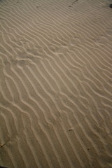 Fototapeta na wymiar in the sand