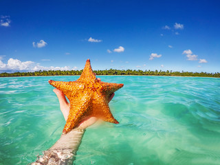 Starfish in hand, Caribbean sea and beautiful tropical island as background.  Punta Cana, Dominican Republic