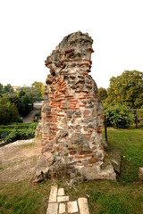 Konz, Ruine Römischen Kaiserpalast 