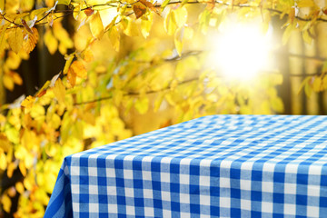 Empty checkered table background