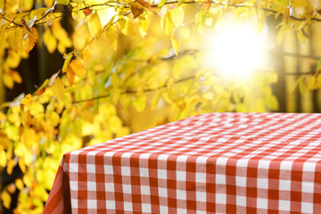 Empty checkered table background