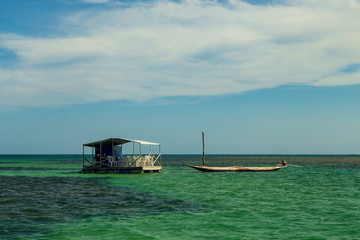Balsa