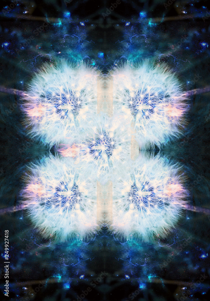Poster Artistic colorful computer generated fractals of an exotic beautiful roses pattern artwork
