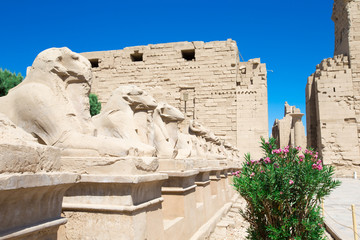 Fototapeta premium Africa, Egypt, Luxor, Karnak temple