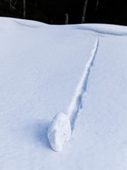 Fototapeta na wymiar Snowball rolling down a slope