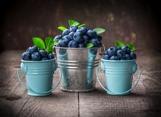 Blueberries in tin cans colorful fresh arrangement on brown wooden table and dark background front view in studio
