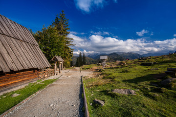 Rusinowa polana © fotolupa