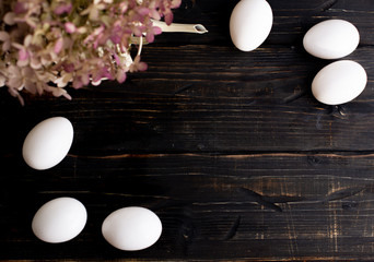 Eggs on dark background