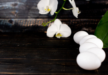 Eggs on dark background