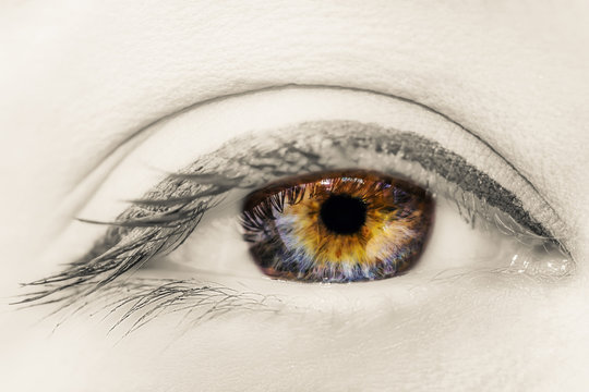 Creative black and white photo of colorful female eye with long eyelashes and professional make-up close-up macro