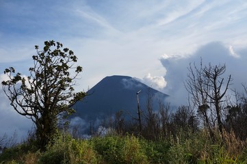 Tolimán_29