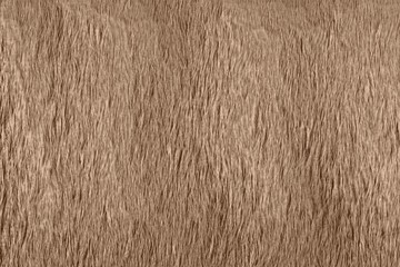 Macrophotography of animal brown fur or hair