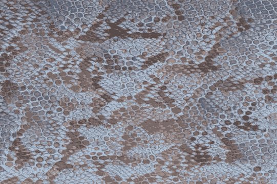 Blue python snake skin with scales and texture
