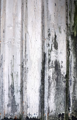 Aged wall in wood. Former white surface of a house.