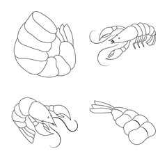 Vector illustration of food  and sea icon. Collection of food  and animal  vector icon for stock.