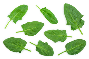 fresh spinach isolated on white background. Top view. Flat lay