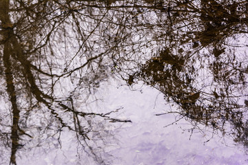 Fototapeta na wymiar Reflection in a Puddle