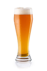 Light beer IPA with foam in glass with beautiful color gradient. isolated