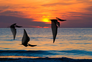 Ptranodons flying at sunset © David M. Dennis