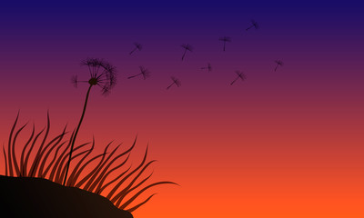 Dandelion with petals on the faith on a yellow-blue background