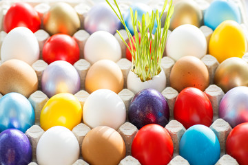 Fototapeta na wymiar Easter colored eggs in egg tray, young wheat sprouts from the shell, soft focus image