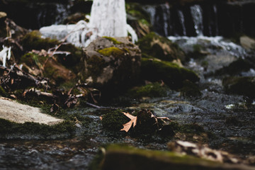 Rocks covered with moss in a forest stream