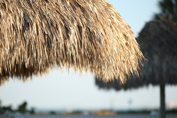 Fototapeta na wymiar canopy at the beach 