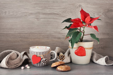 Cup of hot chocolate with marshmallows, christmas sweets, poinsettia and Xmas decorations