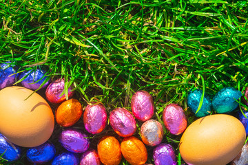 Easter Eggs Lie in green grass