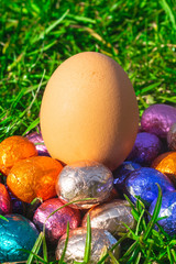 Easter Eggs Lie in green grass