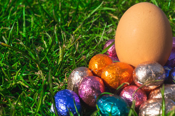 Easter Eggs Lie in grass