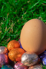 Easter Eggs Lie in the Grass