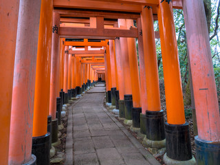 京都　伏見稲荷大社