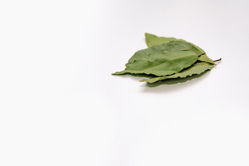 Green bay leaf on a bright white background. Bay leaves, soup seasoning lies on the white table...