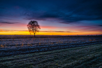 Beautiful sunrise over the field, countryside landscape