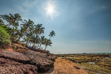 Seascape from GOA