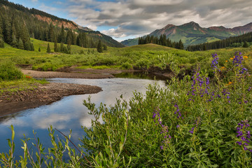 River curves through a wildflower meadow 