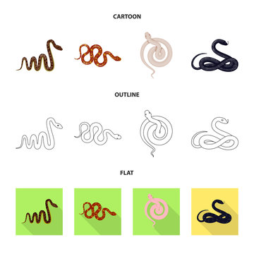 Vector illustration of mammal and danger sign. Set of mammal and medicine vector icon for stock.