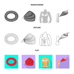 Vector illustration of fiber and muscular symbol. Collection of fiber and body  vector icon for stock.