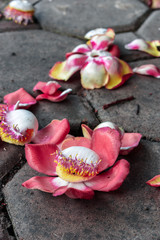 flowers on floor Bali