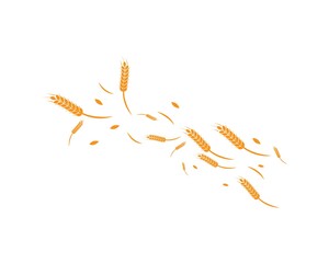 wheat background Template