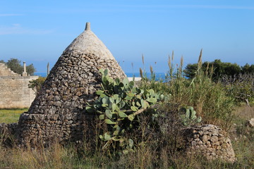 stone roof with blue sky and cactus