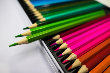 color pencils on white background