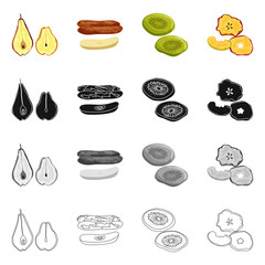 Vector illustration of food  and raw  icon. Collection of food  and nature   stock symbol for web.