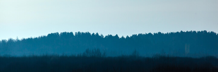 picturesque mysterious landscape with the silhouette of the forest in blue colors, panorama