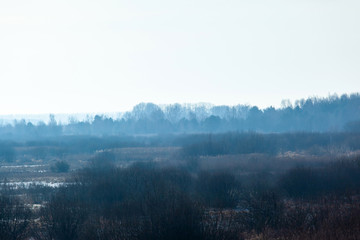 Fototapeta premium picturesque mysterious landscape in blue with the silhouette of the forest