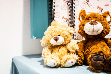 Petit ours en peluche